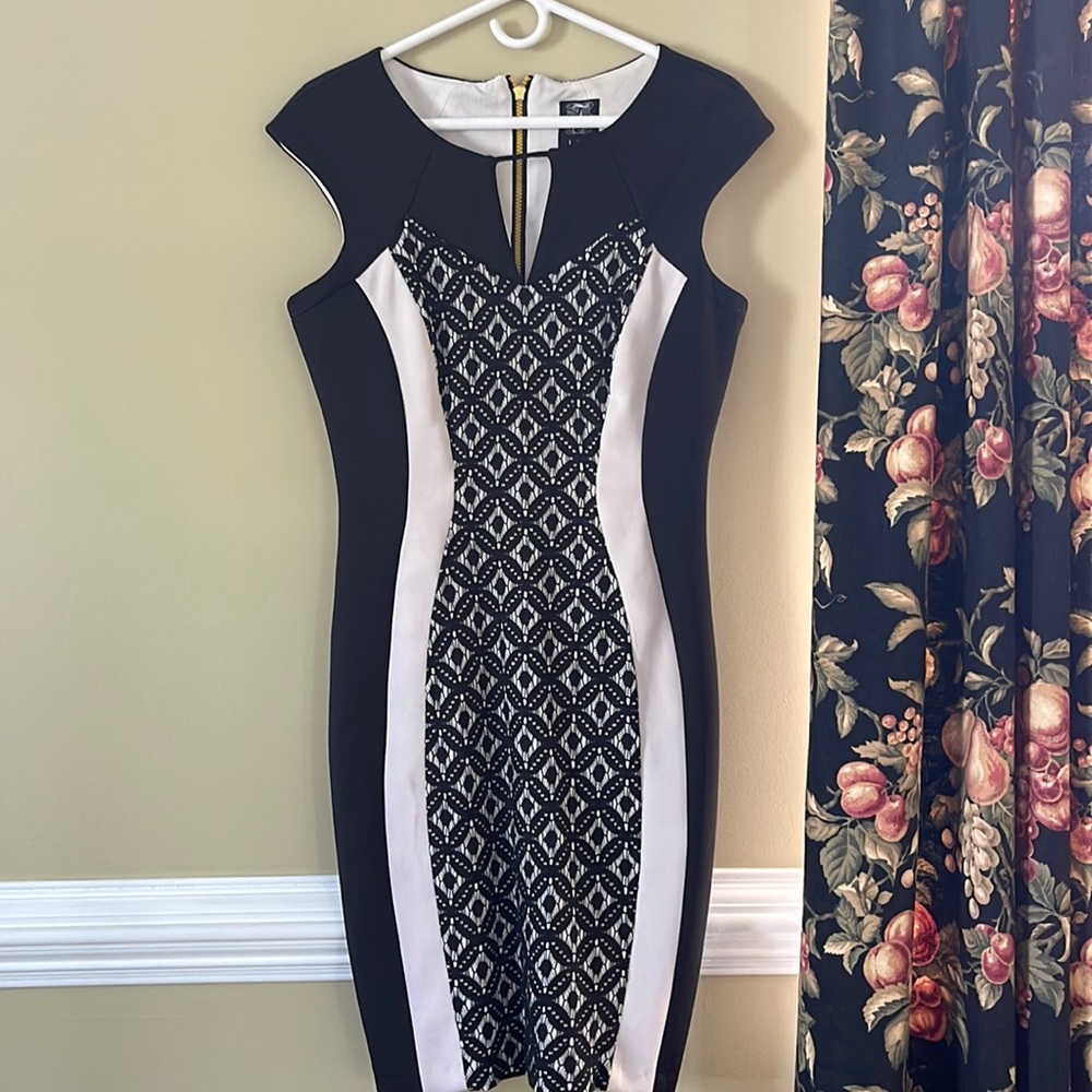 NWOT Form Fitting dress